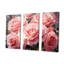 Minimalisme «Pink Roses Dream» - ensemble d'art mural Roses-107745877-107745876