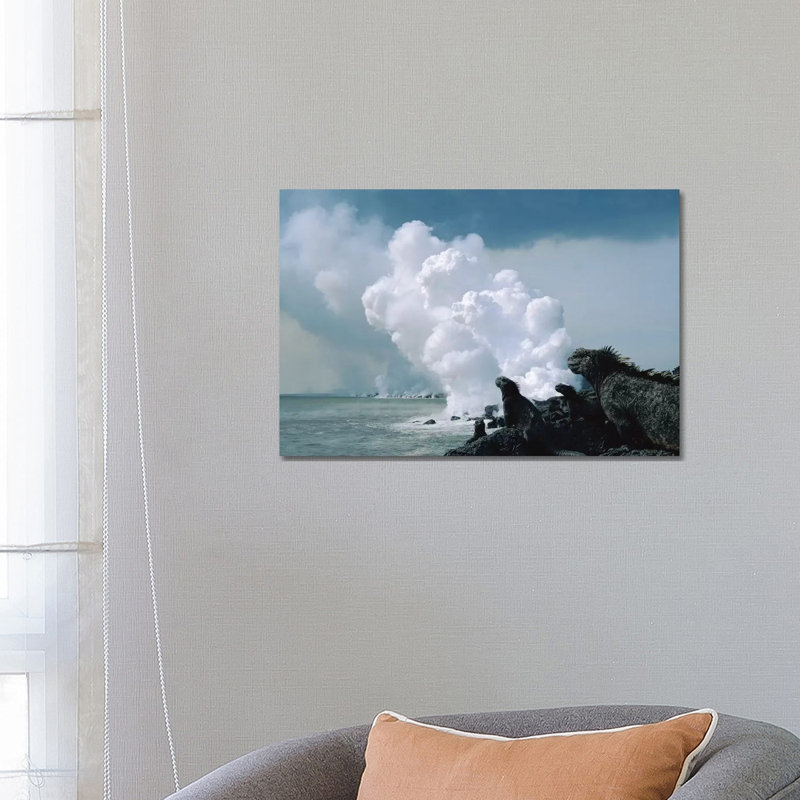 Group Of Marine Iguanas With Lava Flow Entering Sea, Cape Hammond, Fernandina Island, Galapagos Islands, Ecuador by Tui De Roy - Wrapped Canvas Print