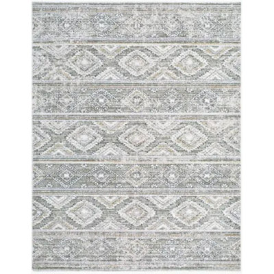 Lausanne Moroccan Area Rug