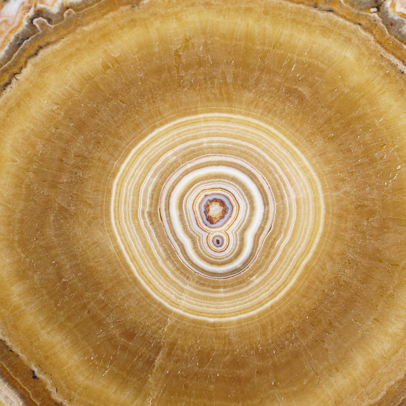 Genuine Aragonite Stalactite Slice from Mexico (0.6 lbs)