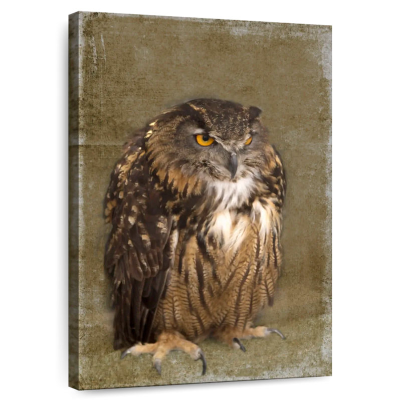 Grumpy Owl, 45" H x 30" W