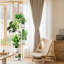 Support pour plante à 6 niveaux en métal d'intérieur-1652844870