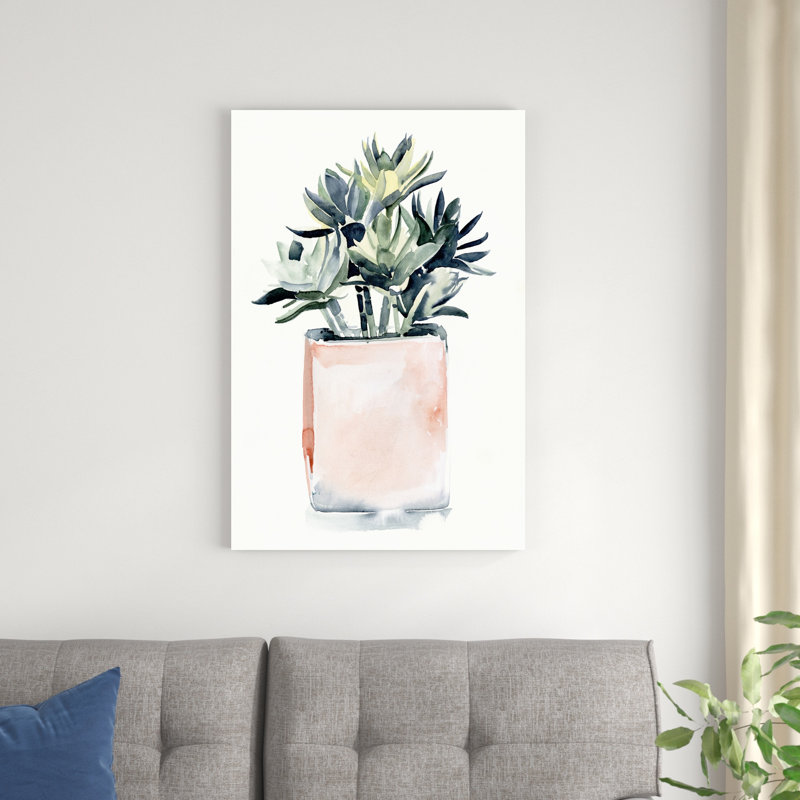 Plante grasse en pot IV, H 36 po x l 24 po