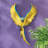Phineas the Flapping Macaw Bird Wall Décor