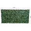Privacy Fencing Hedge