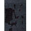Rapture Abstract Area Rug in Black-789395224