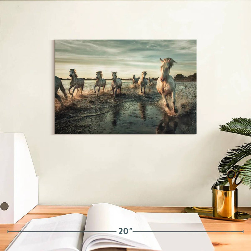 Brampt Camargue, chevaux qui courent dans l'eau VII