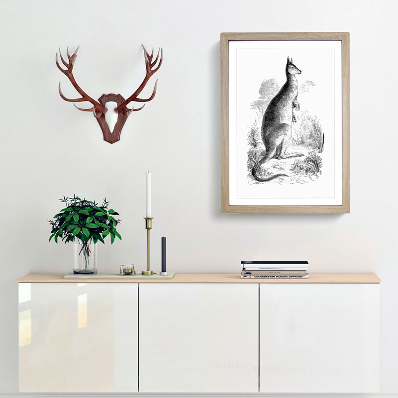 A Kangaroo Illustration in Black & White - Framed Print, 50cm H x 35cm W x 2cm D, Oak