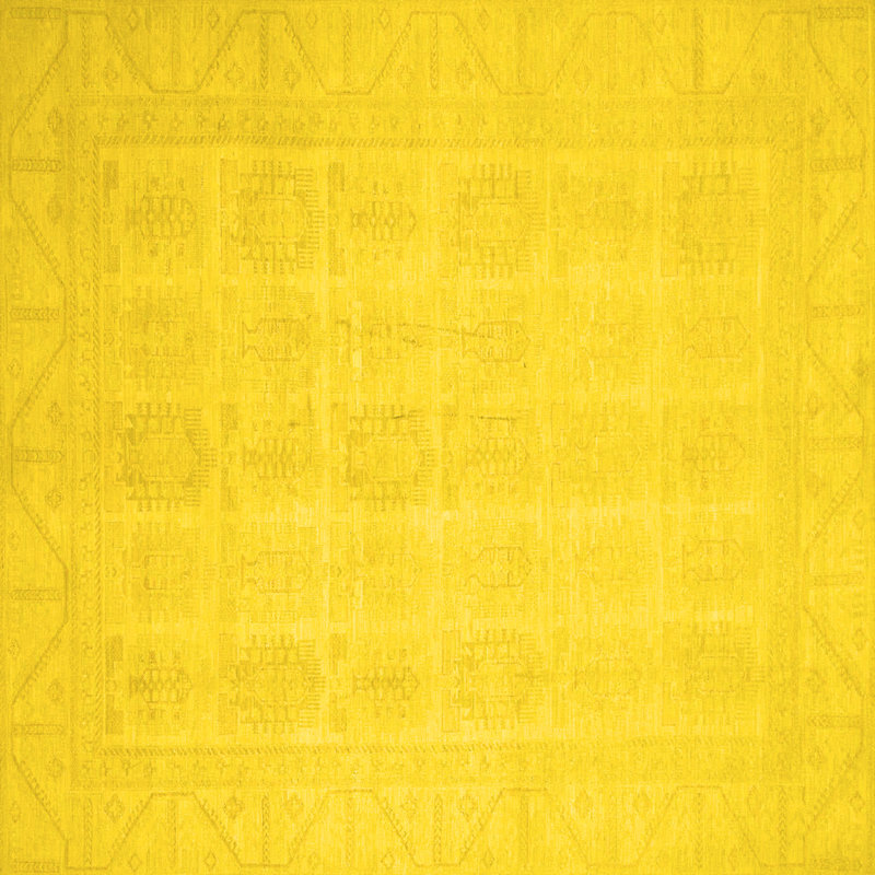 Crescantia Washable Oriental Indoor Rug, Square 5'