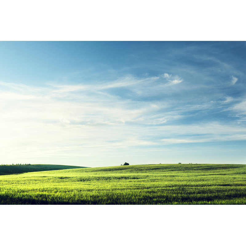 Field Of Barley by IakovKalinin - Wrapped Canvas Print, 20cm H x 30cm W