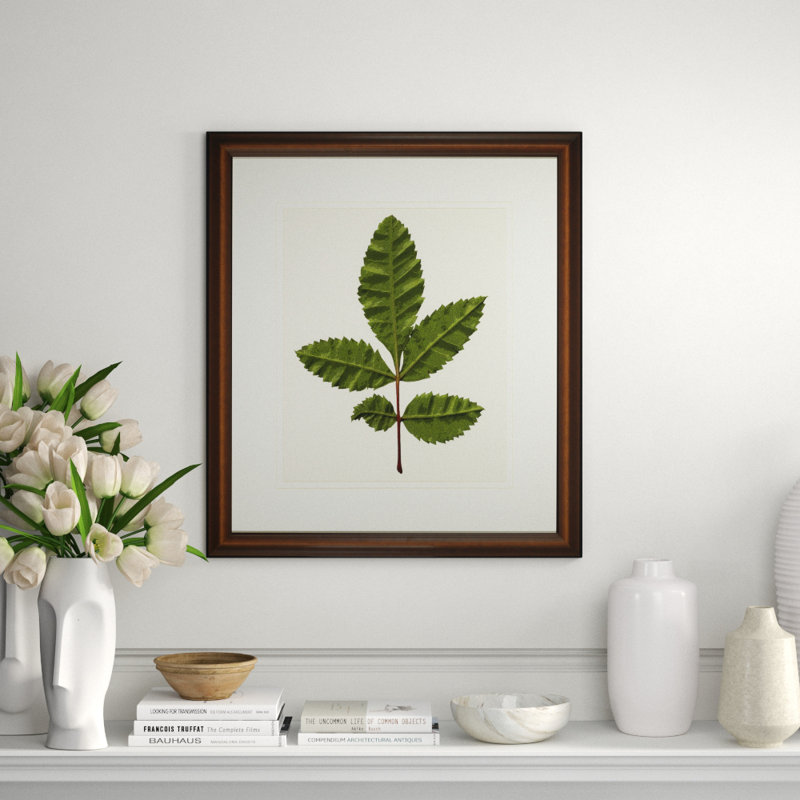 A Little Piece Of Nature IV Print