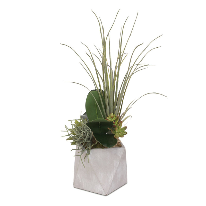 Faux Succulent, Airplant (Tillandsia), Cactus Succulent in Stone Pot