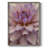 Soft Flower Petals II Framed Print - Solid Wood-1055494889