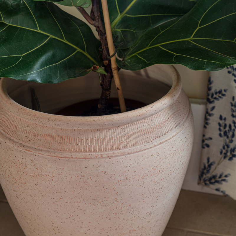 Pot Planter