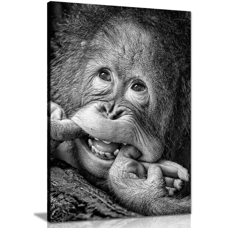 Smiling Monkey Close Up - Wrapped Canvas Art Prints, 61cm H x 41cm W