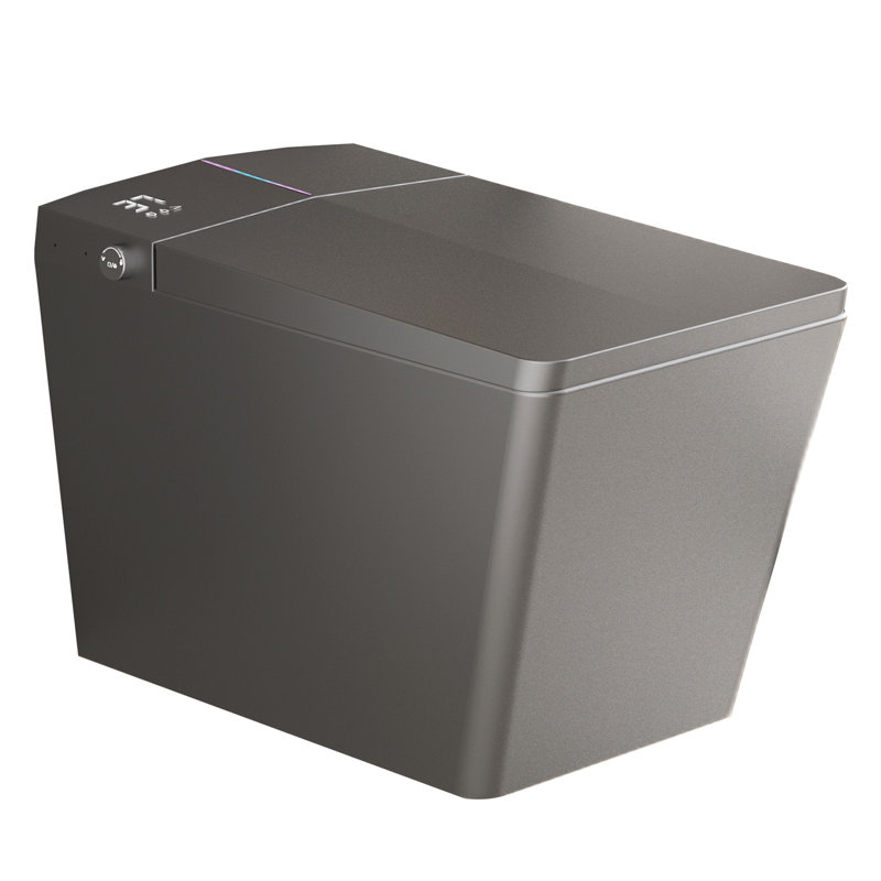 Bidet Toilet With Built - In Tank, Square Design, Remote Control, Auto Flush, Heated Seat, Wash, Matte Grey, Night Rear Feminine Grey