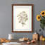 «Twig Study II», impression encadrée-1326240125-1326240126