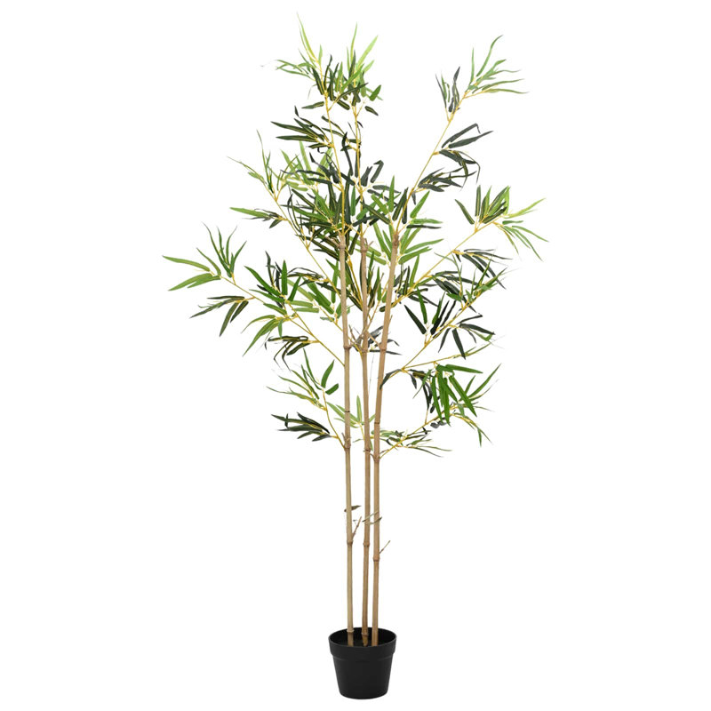 Plant, 1, 150cm H x 55cm W x 16cm D