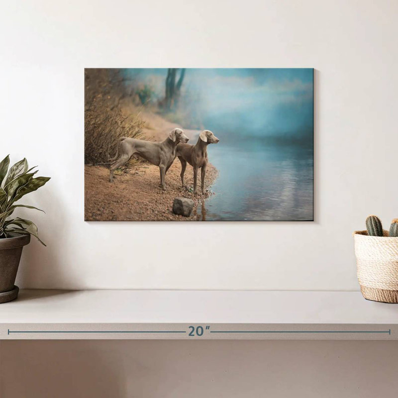 Brampt Weimaraner Dogs, 8" H x 12" W