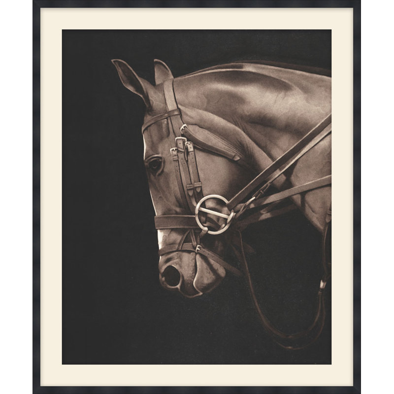 Animals Print by Studio L57 Narrative, 36.75" H x 30.75" W