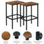 Tabouret de comptoir Eva-Maria avec structure en métal (ensemble de 2)