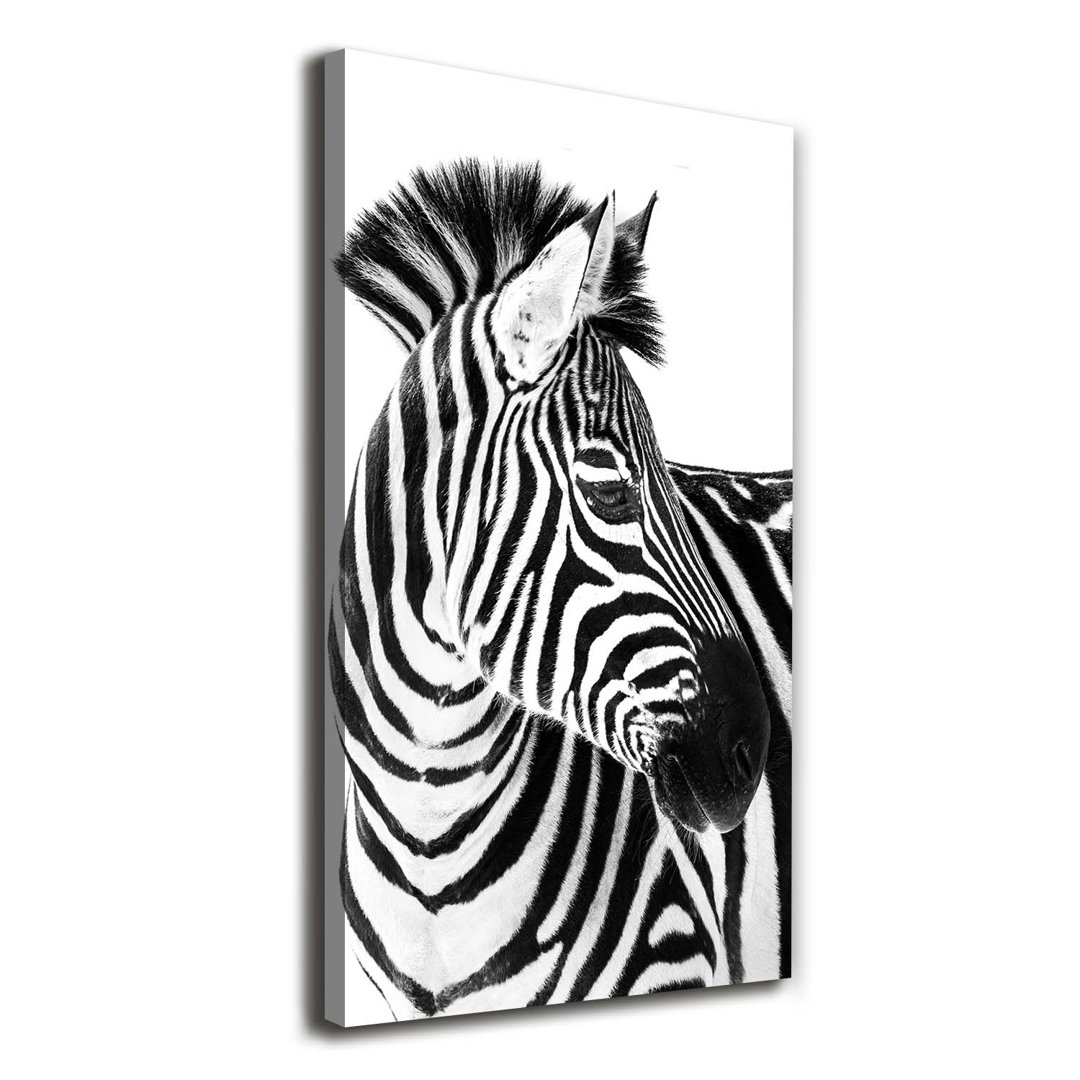 Zebra im Schnee - Kunstdrucke auf Leinwand - Wrapped Canvas