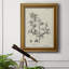 Toile encadrée de qualité supérieure antique noir et blanc botanique IV - prête à être accrochée-1285329258