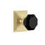 Grandeur Carré Square Rosette with Lyon Knob-1118099206