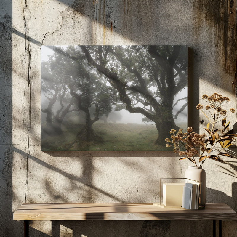 Wrapped Canvas Print, 50.8 cm H x 76.2 cm W