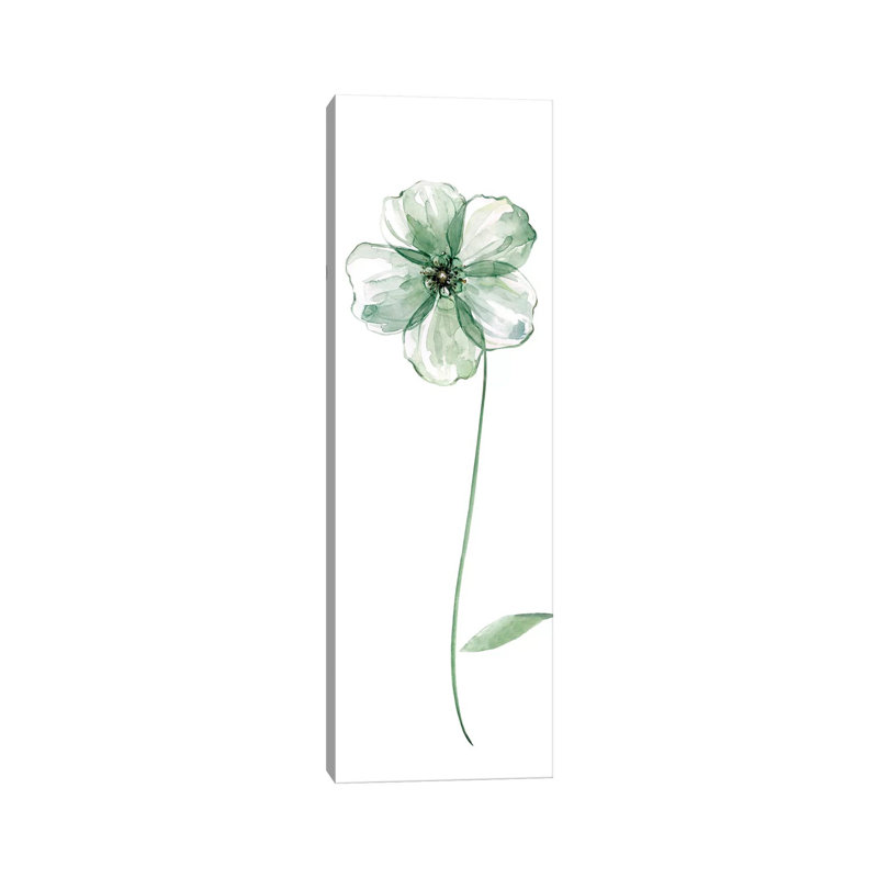 Sage Flower II by Carol Robinson - Panoramic Painting on Canvas, Wrapped Canvas, 30.48 cm H x 91.44 cm W x 1.91 cm D