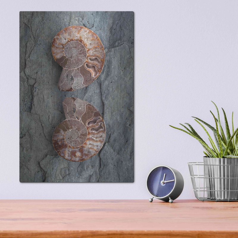 Art mural luxueux «Crystallized Ammonites» par Elena Ray, H 16 po x l 12 po