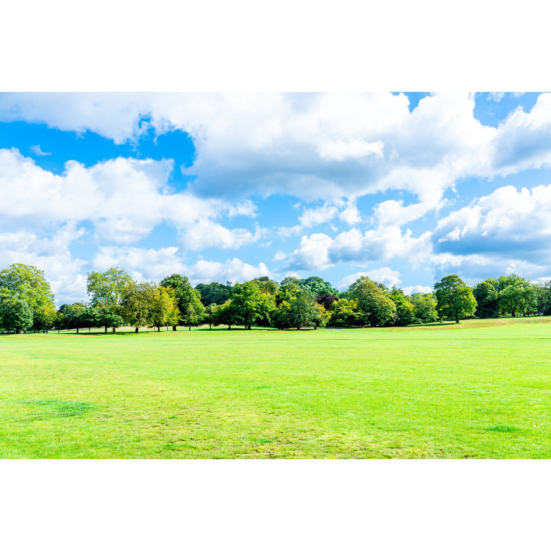 Sommerlandschaft im Park von CHUNYIP WONG - Druck