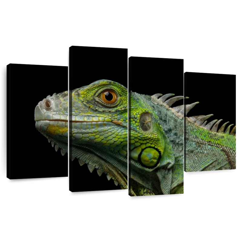Brampt Green Iguana Head, 42" H x 68" W