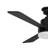 Trevina II Collection LED 52" 3-Blade Fan-123018325-123018323