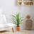 38 " H Faux Dracaena Plant