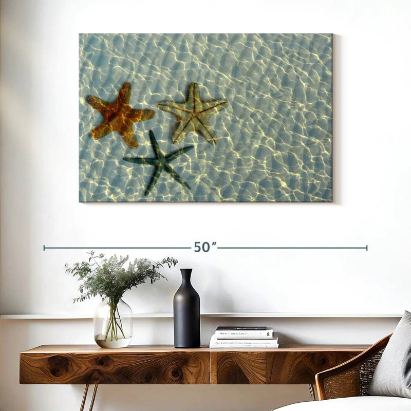 Trio d'étoiles de mer Brampt, H 26 po x l 39 po