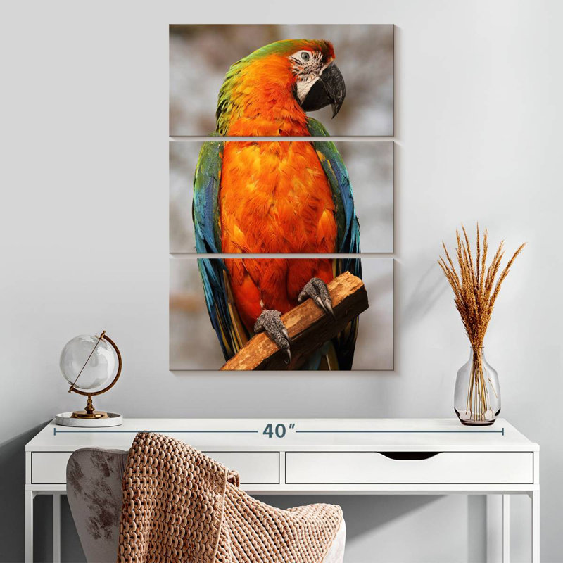 Brampt Catalina Macaw, 32" H x 20" W