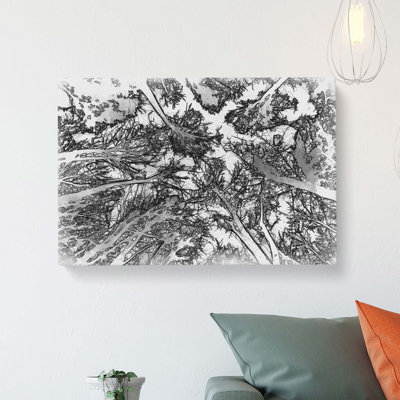 Vaulted Tree Branches - Wrapped Canvas