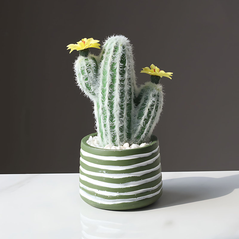 Cactus 9,45 po