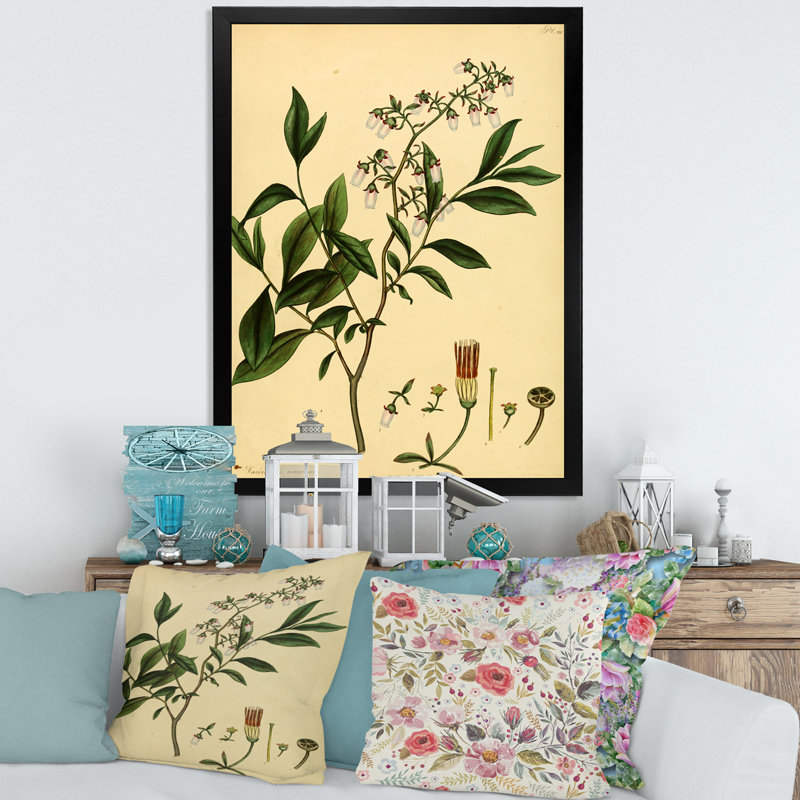 «Vintage Plant Life V», peinture sur toile, Cadre photo noir, H 20 po x l 12 po x P 1po