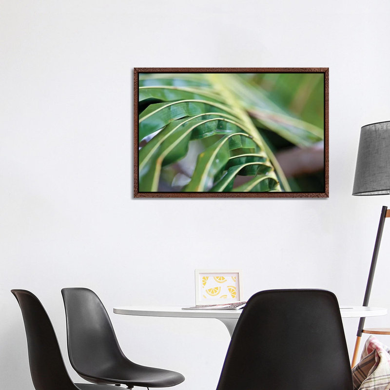 Close-Up Detail Of Plant, Culebra Island, Puerto Rico by Panoramic Images - Gallery-Wrapped Canvas Giclée on Canvas