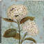«Ornament», reproduction-22063948-22063510