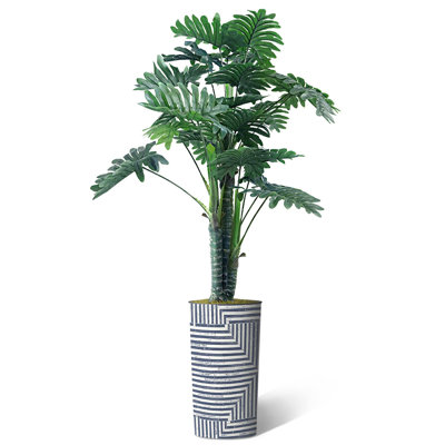70 Plant