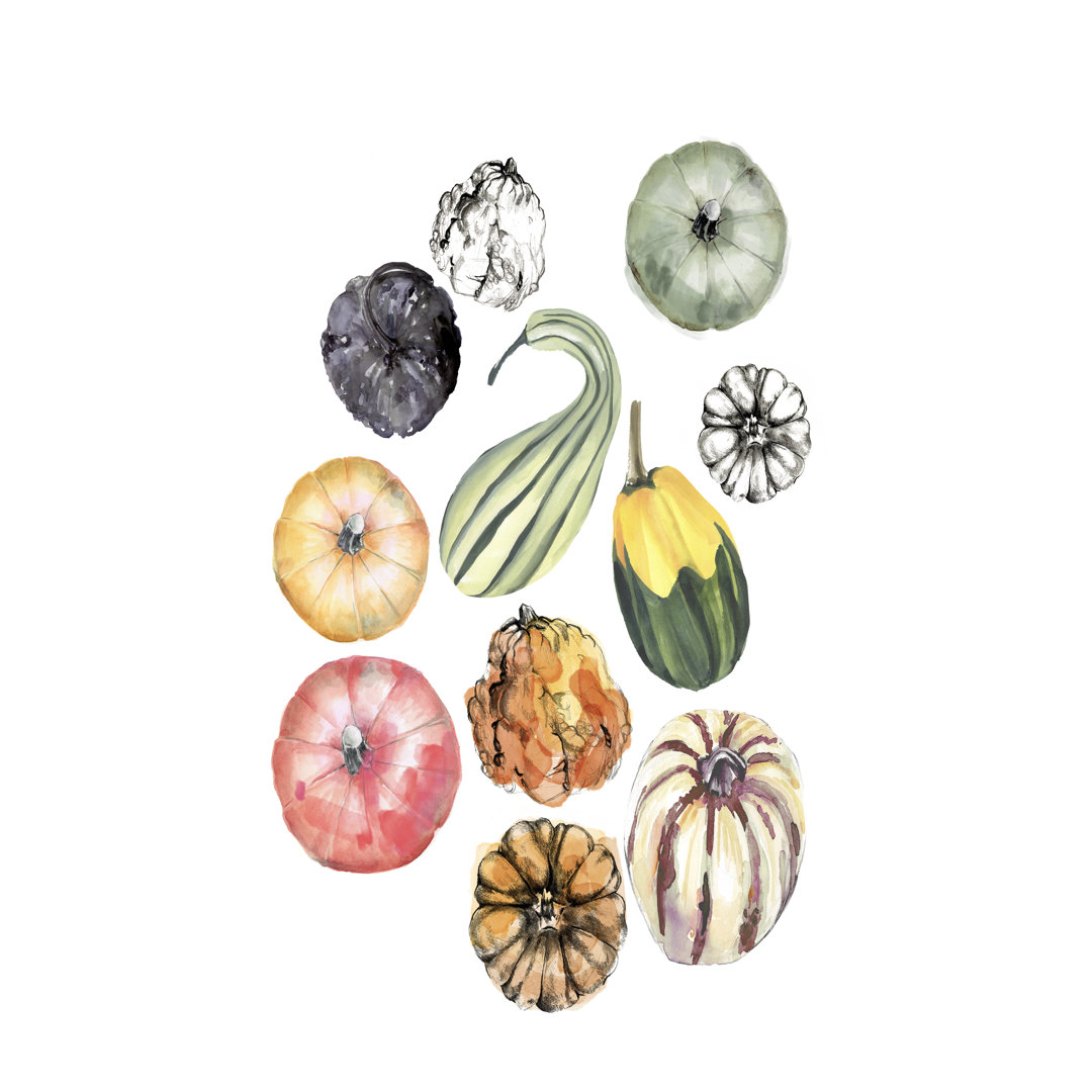 Watercolor Pumpkins II - Wrapped Canvas Painting