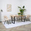 Asfand 4 - Person Dining Set