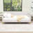 Hiromitsu Upholstered Daybed with Support Legs-224540627-224540626