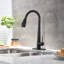 Pull Down Single Handle Kitchen Faucet-1296332710