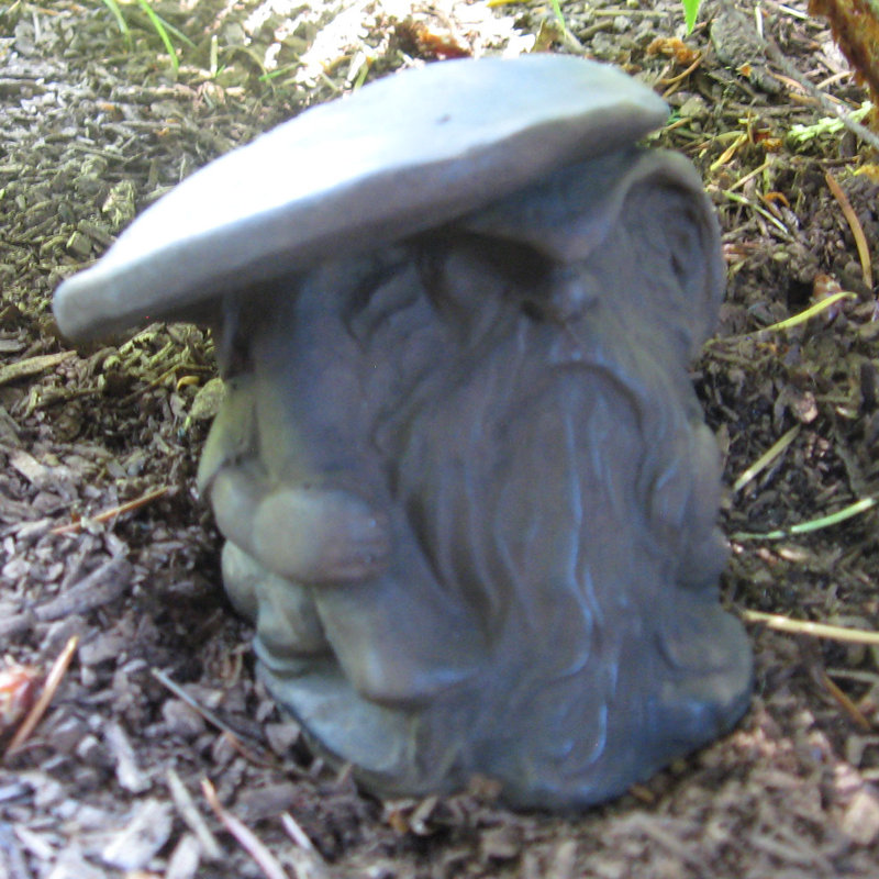 Statue champignon Rainman, Noyer foncé