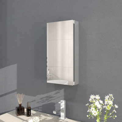 Flicker 12 in. W x 24 in. H Medicine Cabinet Mirror in Silver