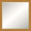 Alden Solid Wood Beveled Mirror-1790138915-1800627340